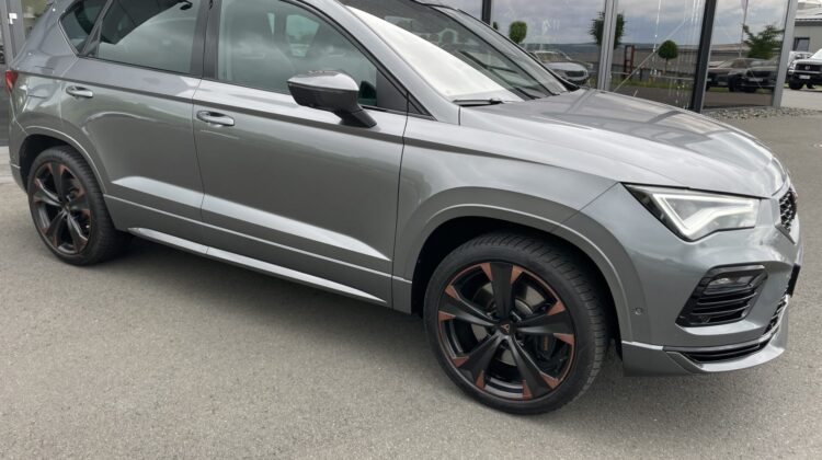 Cupra Ateca 4×4 2,0TSi AHKe Pano 19