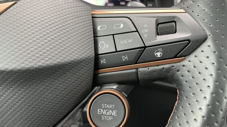 Cupra Ateca 4×4 2,0TSi AHKe Pano 19