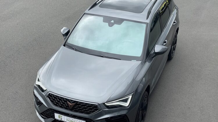 Cupra Ateca 4×4 2,0TSi AHKe Pano 19