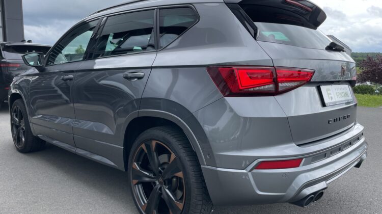 Cupra Ateca 4×4 2,0TSi AHKe Pano 19