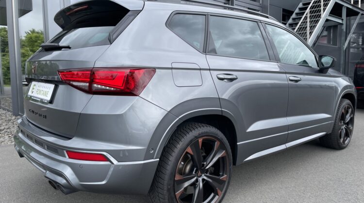 Cupra Ateca 4×4 2,0TSi AHKe Pano 19