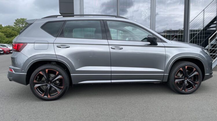 Cupra Ateca 4×4 2,0TSi AHKe Pano 19