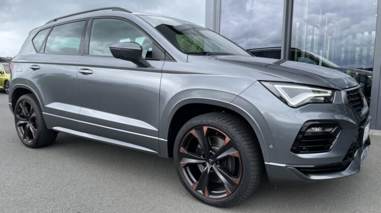 Cupra Ateca 4×4 2,0TSi AHKe Pano 19