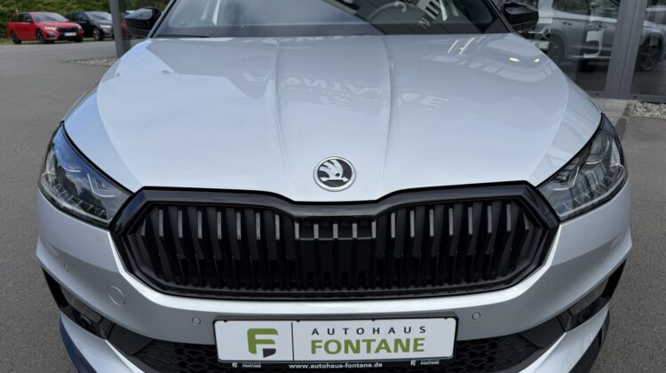 Fabia Monte Carlo DSG 18″ Kamera Keyless Matrix