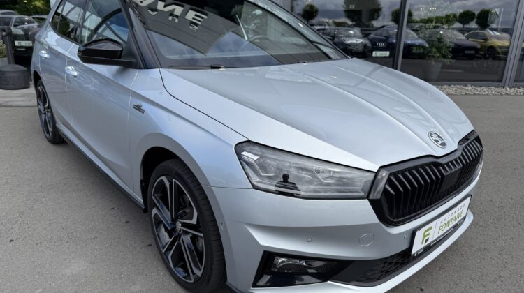 Fabia Monte Carlo DSG 18″ Kamera Keyless Matrix