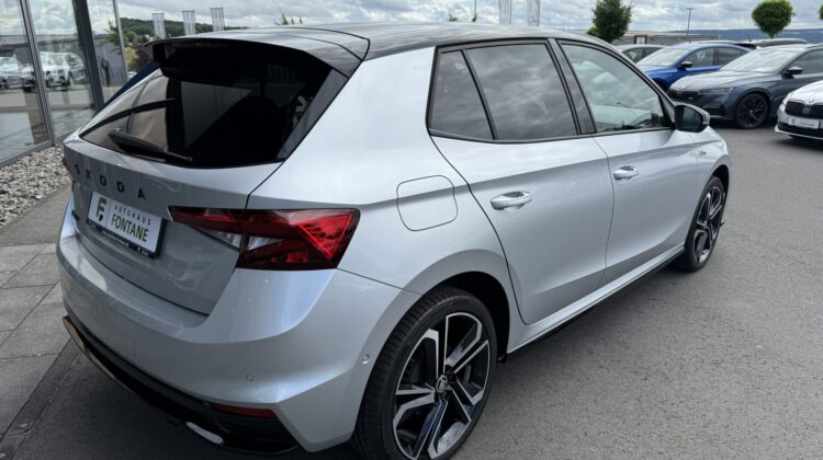Fabia Monte Carlo DSG 18″ Kamera Keyless Matrix