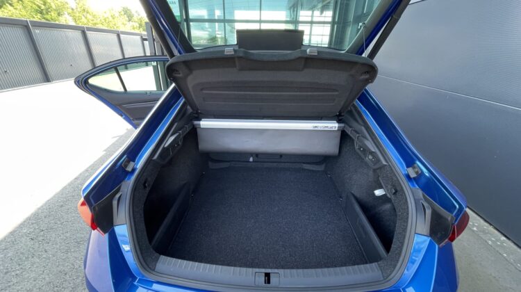 Octavia Limousine 2,0TSi RS Leder HUD AHK DCC