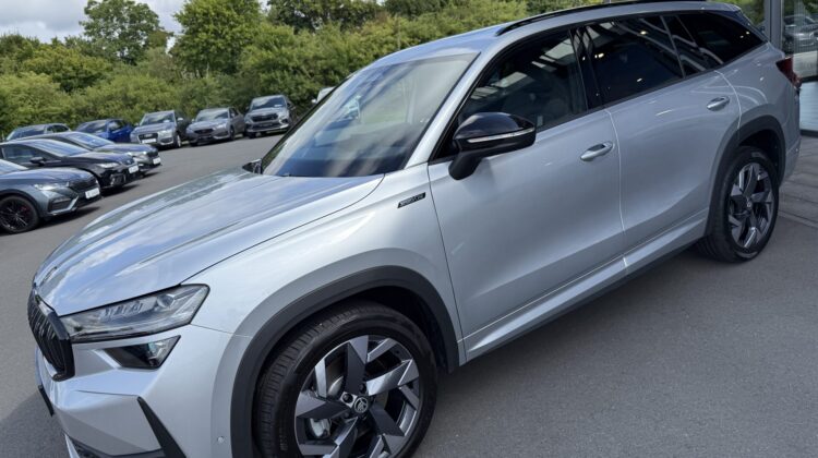 Kodiaq 2.0 TDI 142kW 4×4 Sportline 360° AHK Pano