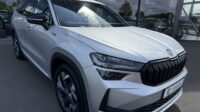 Kodiaq 2.0 TDI 142kW 4×4 Sportline 360° AHK Pano