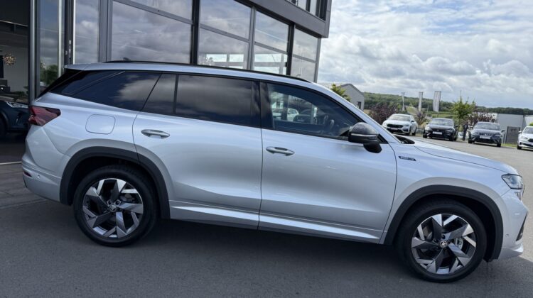 Kodiaq 2.0 TDI 142kW 4×4 Sportline 360° AHK Pano
