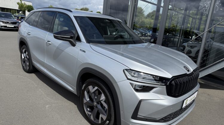 Kodiaq 2.0 TDI 142kW 4×4 Sportline 360° AHK Pano