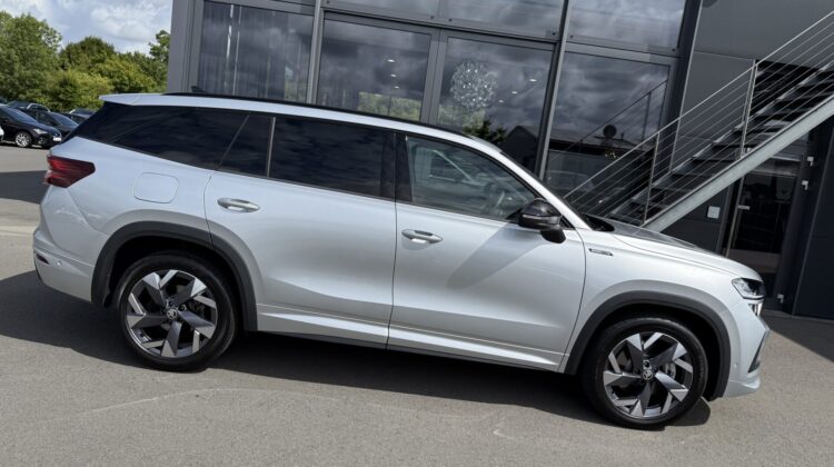 Kodiaq 2.0 TDI 142kW 4×4 Sportline 360° AHK Pano