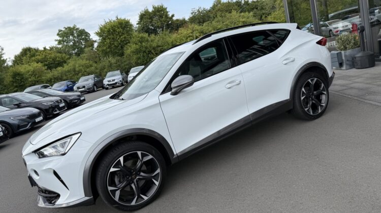 Formentor 1.5TSI DSG Kamera Pano SHZ LED 1.Hand