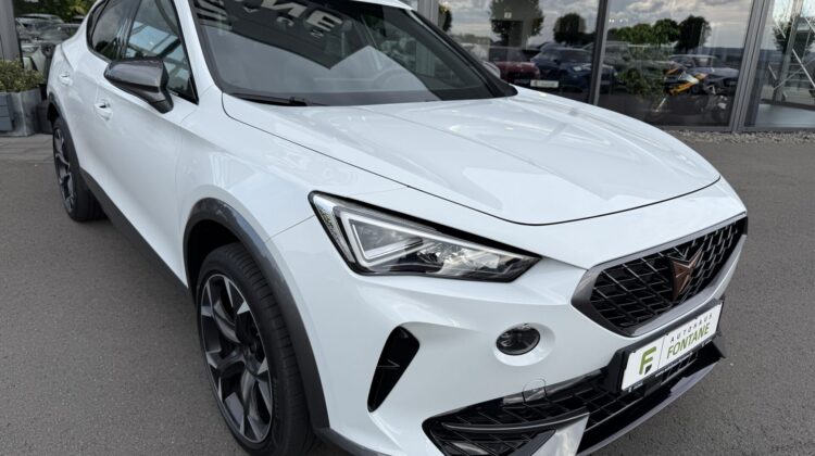 Formentor 1.5TSI DSG Kamera Pano SHZ LED 1.Hand