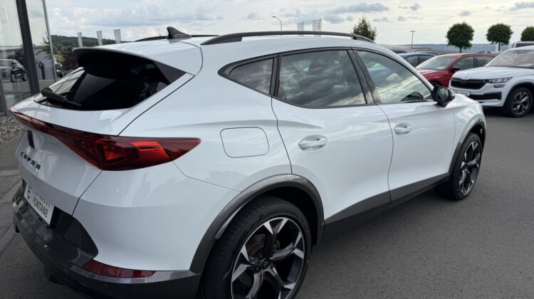 Formentor 1.5TSI DSG Kamera Pano SHZ LED 1.Hand