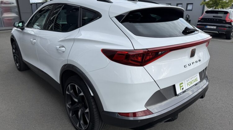 Formentor 1.5TSI DSG Kamera Pano SHZ LED 1.Hand