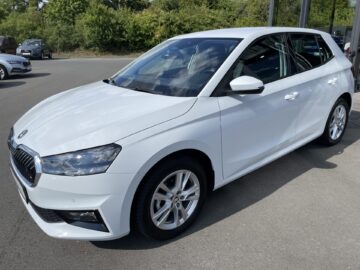 Fabia Selection Schalter Navi Key Lenkradhz Kamera