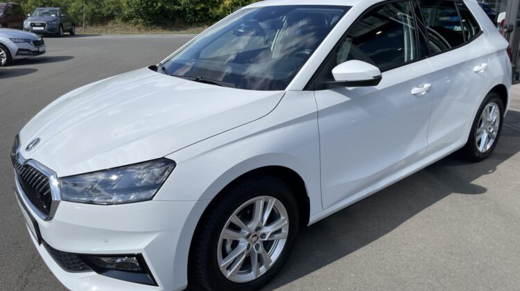 Fabia Selection Schalter Navi Key Lenkradhz Kamera