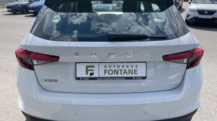 Fabia Selection Schalter Navi Key Lenkradhz Kamera