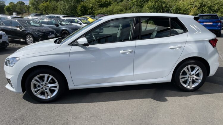 Fabia Selection Schalter Navi Key Lenkradhz Kamera