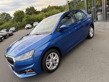 Fabia Selection Schalter Navi Key Lenkradhz Kamera