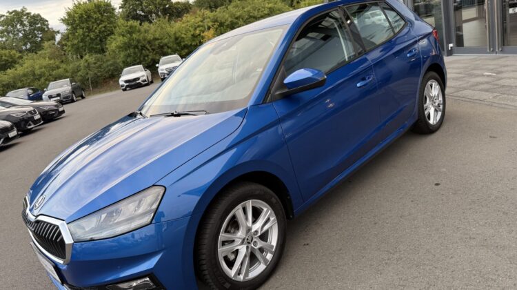 Fabia Selection Schalter Navi Key Lenkradhz Kamera