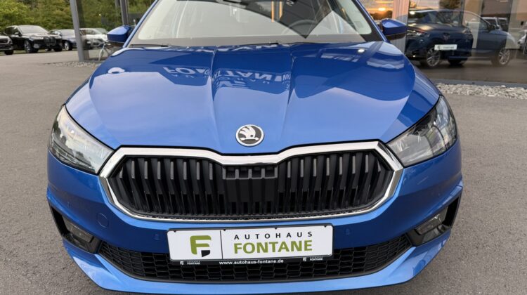 Fabia Selection Schalter Navi Key Lenkradhz Kamera