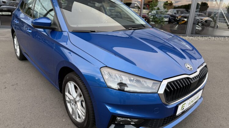 Fabia Selection Schalter Navi Key Lenkradhz Kamera