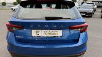 Fabia Selection Schalter Navi Key Lenkradhz Kamera