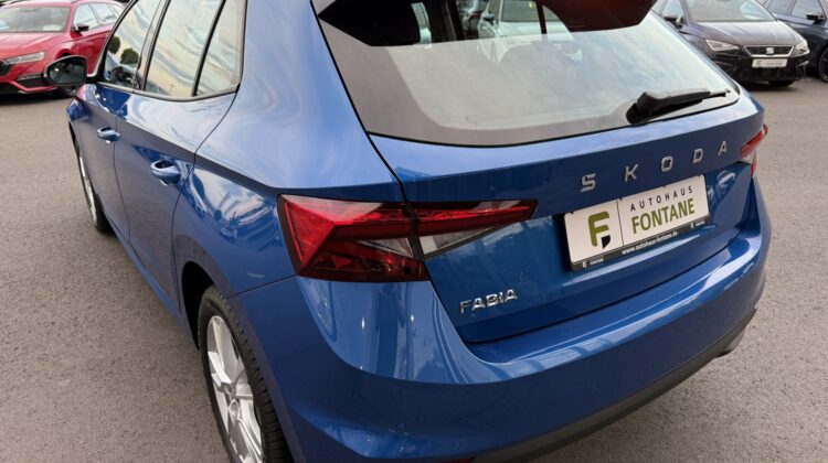 Fabia Selection Schalter Navi Key Lenkradhz Kamera