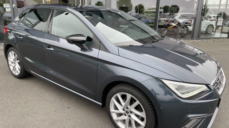 Ibiza FR 17″ Navi LED AppleCarplay PDC