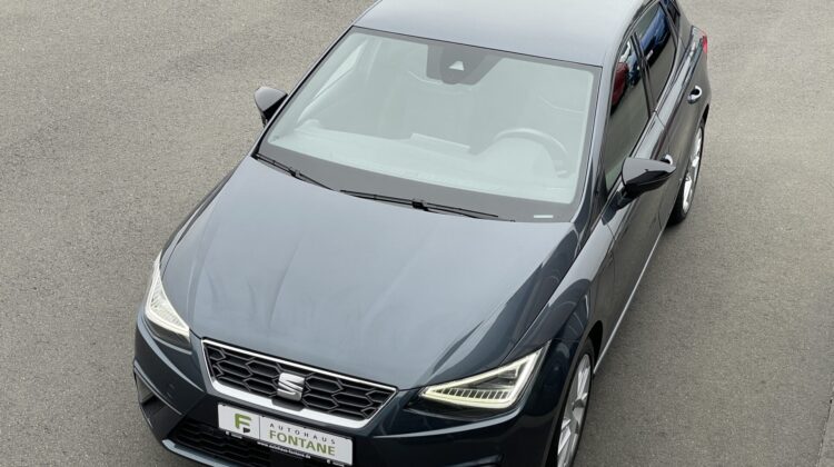Ibiza FR 17″ Navi LED AppleCarplay PDC