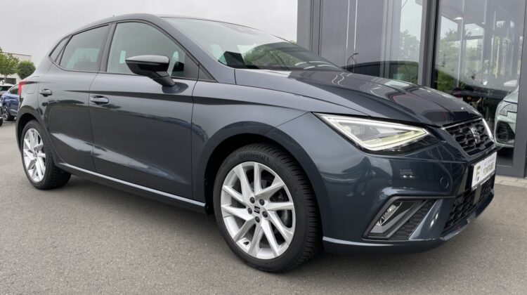 Ibiza FR 17″ Navi LED AppleCarplay PDC