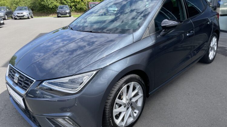 Ibiza FR 17″ Navi LED AppleCarplay PDC SHZ
