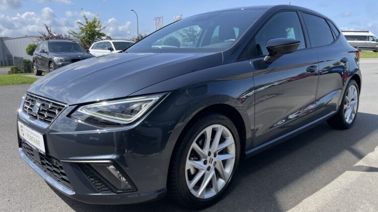 Ibiza FR 17″ Navi LED AppleCarplay PDC SHZ