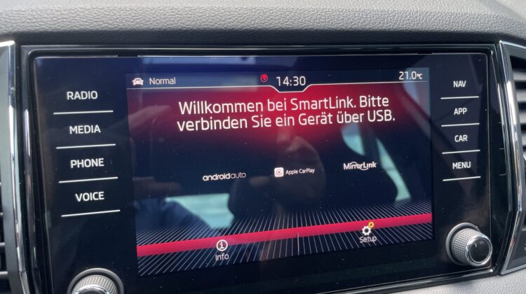 Karoq 2,0TSi DSG Sportline 4×4 Pano Standhz Navi
