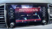 Karoq 2,0TSi DSG Sportline 4×4 Pano Standhz Navi