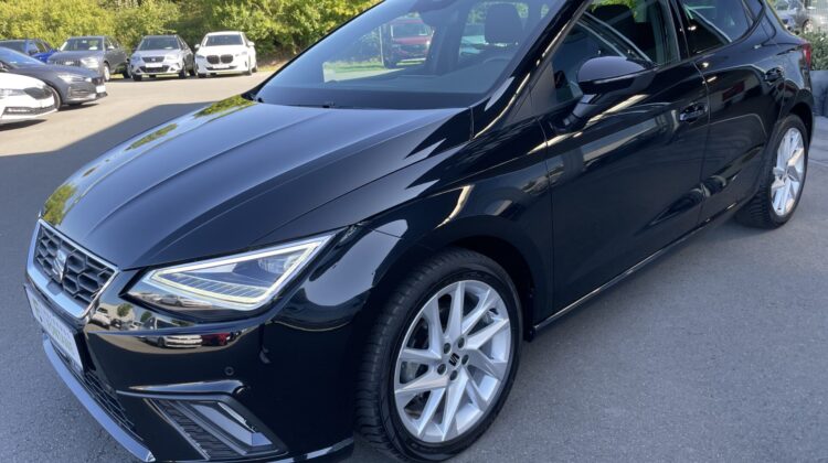 Ibiza FR 17″ Navi LED AppleCarplay PDC Sitzheizung
