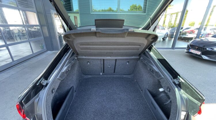 Octavia 2,0TSi Limousine RS 19″ Columbus Matrix