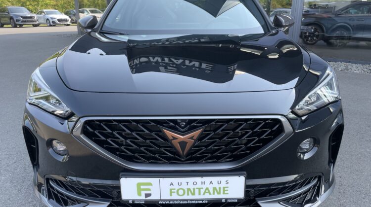 Formentor 2,0TSi VZ 4×4 360° Leder Beats Pano