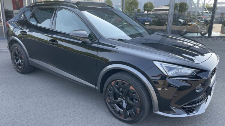 Formentor 2,0TSi VZ 4×4 360° Leder Beats Pano
