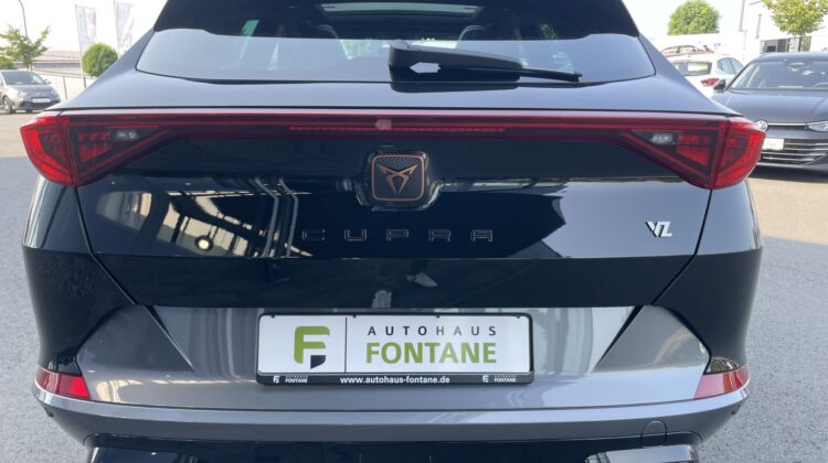 Formentor 2,0TSi VZ 4×4 360° Leder Beats Pano