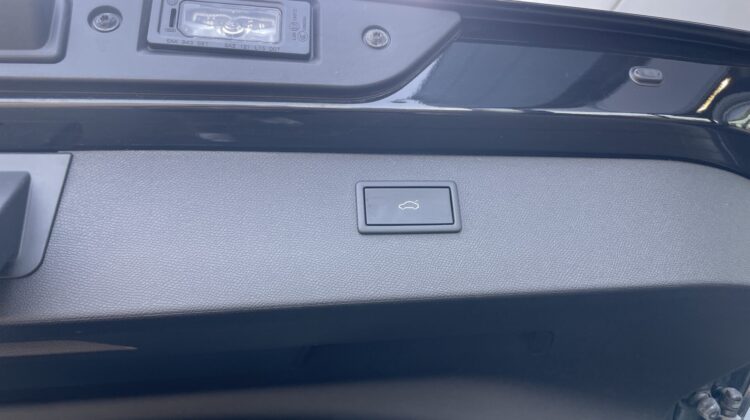 Formentor 2,0TSi VZ 4×4 360° Leder Beats Pano