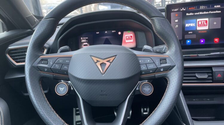 Formentor 2,0TSi VZ 4×4 360° Leder Beats Pano