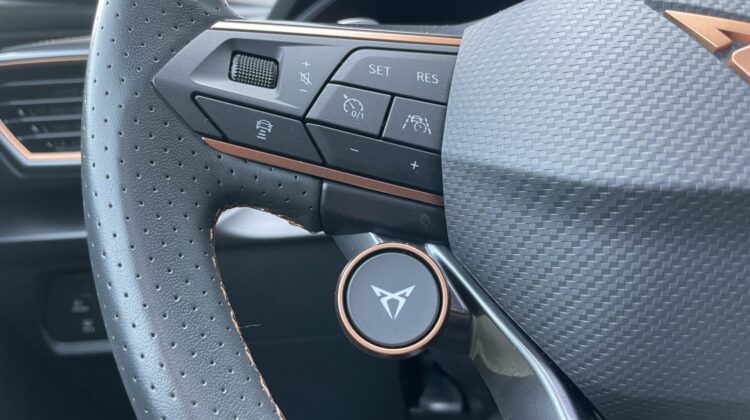 Formentor 2,0TSi VZ 4×4 360° Leder Beats Pano