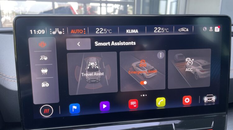 Formentor 2,0TSi VZ 4×4 360° Leder Beats Pano