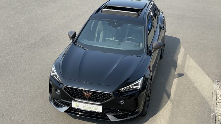 Formentor 2,0TSi VZ 4×4 360° Leder Beats Pano