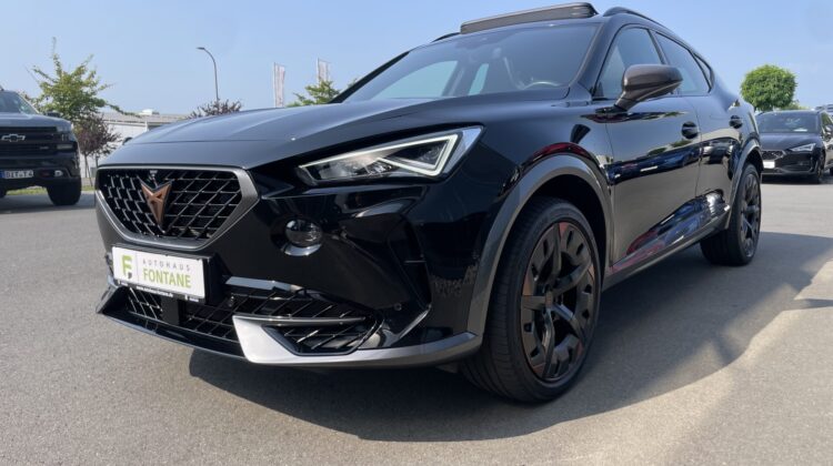 Formentor 2,0TSi VZ 4×4 360° Leder Beats Pano