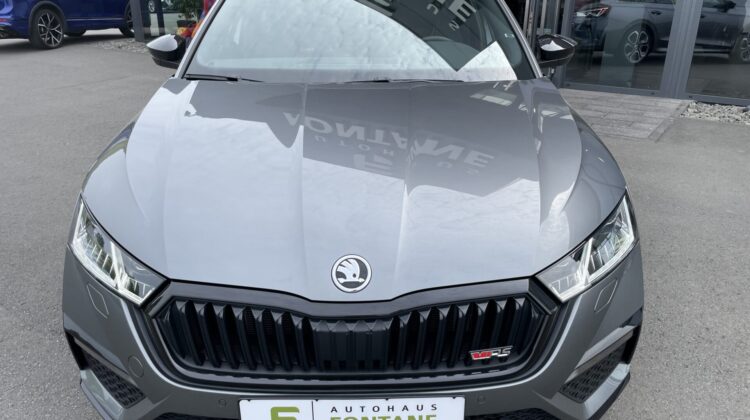 Octavia Combi 2,0TSi RS 19″ Columbus DCC Standheizung