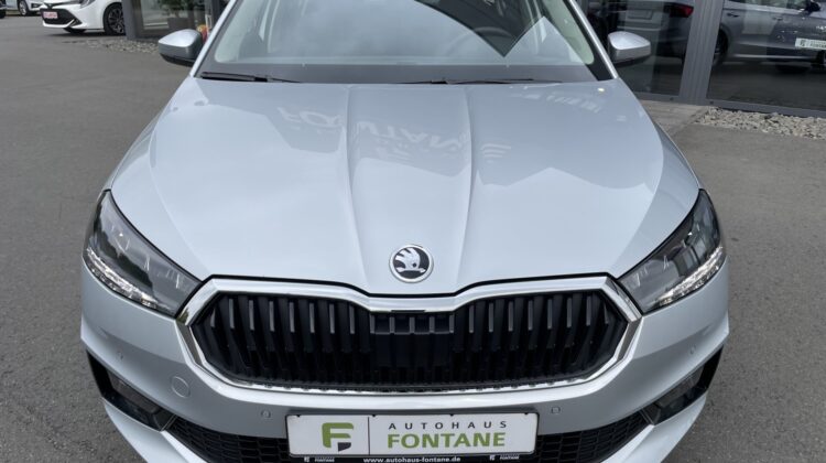 Fabia Selection Schalter Navi Key Lenkradhz Kamera
